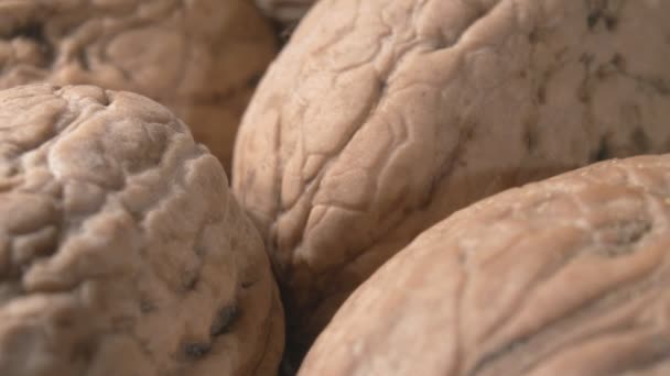Close-up walnuts. The shell close-up. Extreme macro.. - Footage, Video