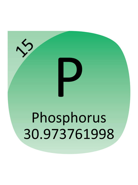 Nome, simbolo, massa atomica e numero atomico dell'elemento della tabella di periodo del fosforo - Vettoriali, immagini