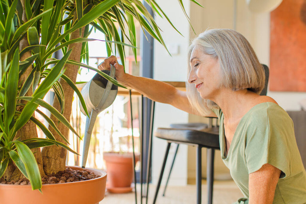 mulher de meia idade com plantas - Foto, Imagem