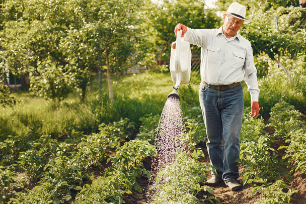 Portrait of senior man in a hat gardening - 写真・画像