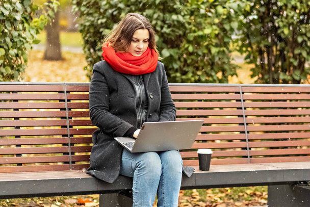 Młoda kobieta pracująca na laptopie, siedząca na ławce w parku z kawą. Korzystanie z komputera i zakupów online. Kształcenie na odległość, edukacja online - Zdjęcie, obraz