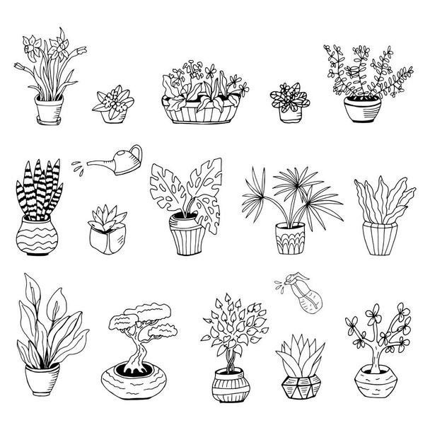Big set cute of hand drawn house plants in pots including cactus, dracena, aloe and others, and garden tools. Vector collection of doodle plants. - Vektor, kép