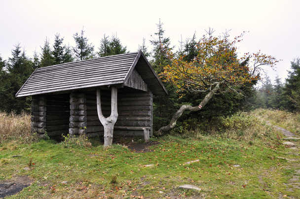 mały drewniany dom - Zdjęcie, obraz