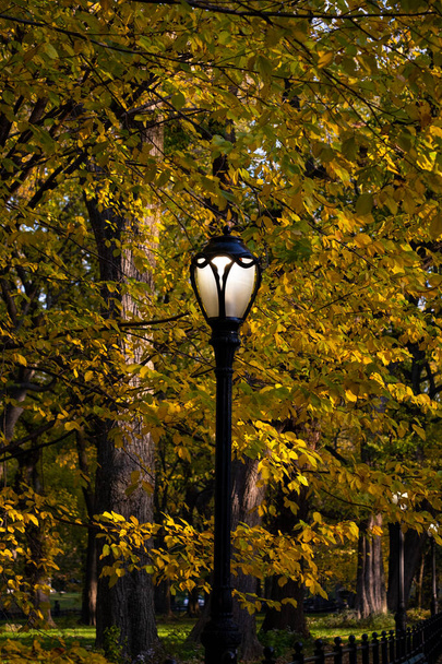 New York City - USA - November 5 2020: Gyönyörű lombozat színek Central Park South New York - Fotó, kép