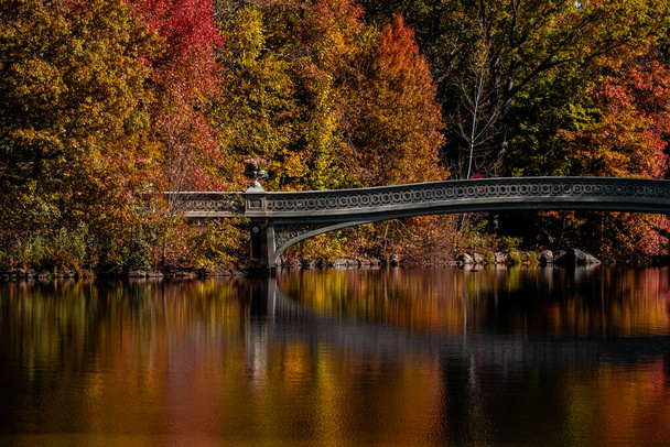New York City - Nov 5 2020: Beautiful Foliage Colors of Bow Bridge Central Park New York - Фото, зображення