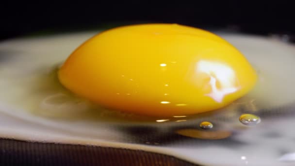 Primo piano dell'uovo fritto in una padella. - Filmati, video