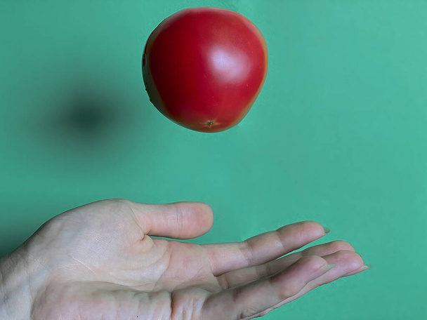 Havada asılı duran bir domatesin altındaki turkuaz arka planda bir kadın el onu yakalar. Sağlıklı gıda konsepti. Sebze fotoğrafçılığı. - Fotoğraf, Görsel