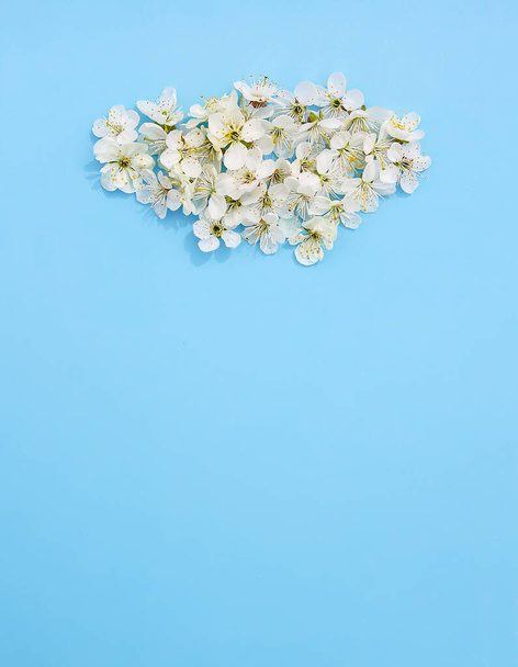 Cloud of the white cherry tree flowers on soft blue paper background. Copy space. Floral card, poster, banner design. - Foto, imagen