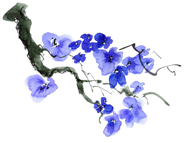 Akwarela i atrament ilustracja drzewa kwiatowego z niebieskimi kwiatami i pączkami. Orientalne tradycyjne malarstwo w stylu sumi-e, u-sin i gohua. - Zdjęcie, obraz