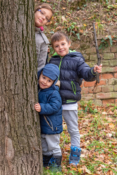 Αδελφή και δύο αδέλφια στέκονται δίπλα σε ένα δέντρο. Παιδικά παιχνίδια την ημέρα του φθινοπώρου - Φωτογραφία, εικόνα