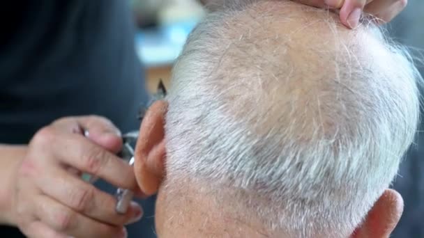 De kapper knipt het haar van een oude man met grijs haar. - Video