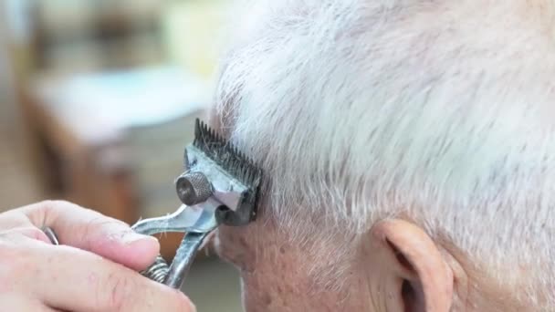 Der Friseur schneidet einem alten Mann mit grauen Haaren die Haare - Filmmaterial, Video