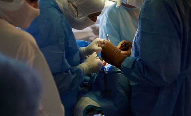 Operación quirúrgica, vista desde el lado del observador. En el centro, dos cirujanos están realizando una operación, detrás de ellos hay una enfermera operadora. - Foto, imagen