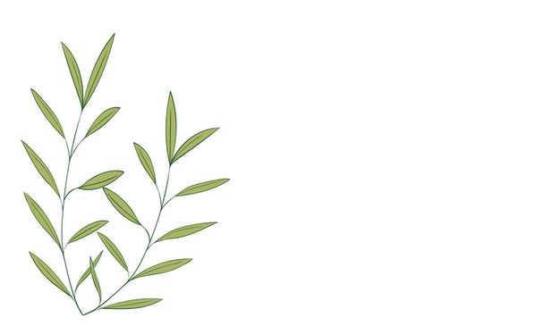 Botanical illustrations: headline decoration: leaves, veins, fruitless - Διάνυσμα, εικόνα