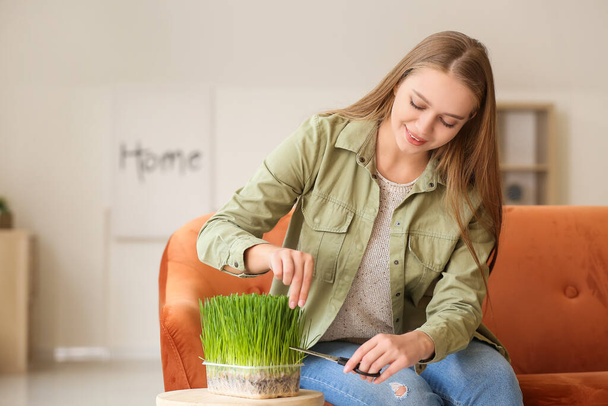 Fiatal nő vágás búzafű otthon - Fotó, kép