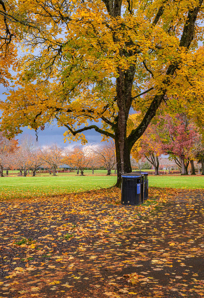 θυελλώδης καιρός σε ένα δημόσιο πάρκο ένα πολύχρωμο τοπίο Όρεγκον. - Φωτογραφία, εικόνα