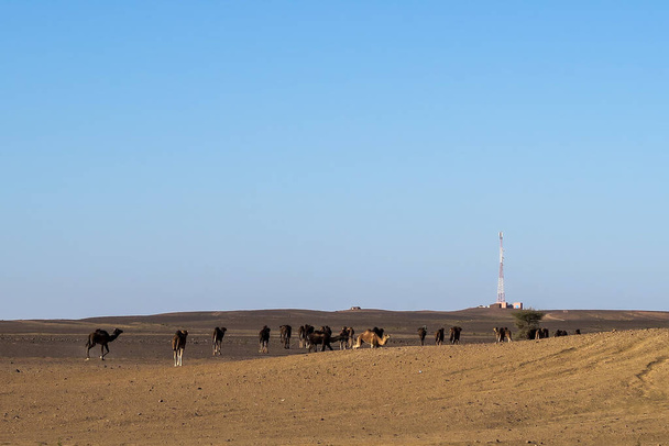 krajobraz na pustyni, piękne zdjęcie cyfrowe - Zdjęcie, obraz