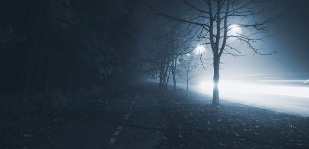 The foggy evening in the autumn park - Fotó, kép