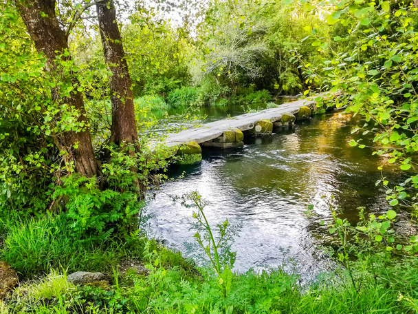 Pedestrian bridge on Umia river among the green vegetation of the riverbank - Photo, Image