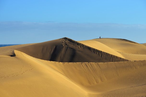 Dune Maspalomas - Foto, Bild