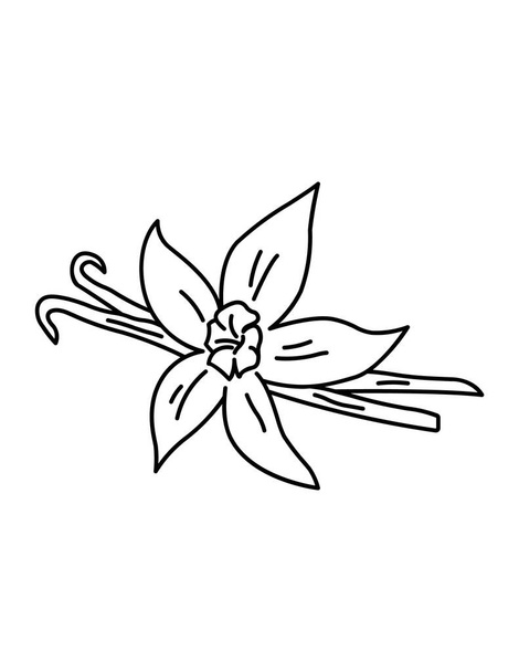 vector, icono de la flor de vainilla blanco y negro - Vector, Imagen