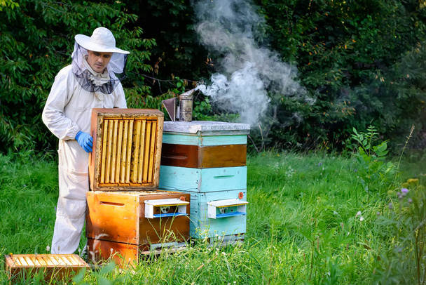 Молодой пчеловод работает на улье рядом с ульем. Природный мед прямо из улья - Фото, изображение