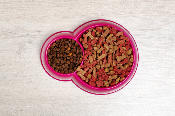 Dry pet food in bowl on the floor - 写真・画像