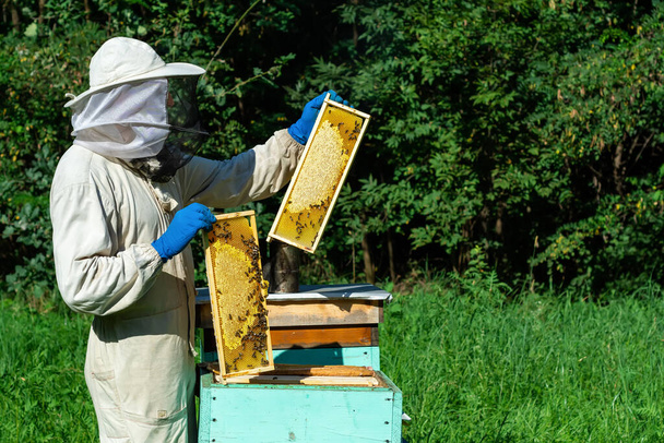 Μελισσοκόμος στο μελισσοκομείο. Ο μελισσοκόμος δουλεύει με μέλισσες και μελίσσια στο μελισσοκομείο. Έννοια της μελισσοκομίας. - Φωτογραφία, εικόνα