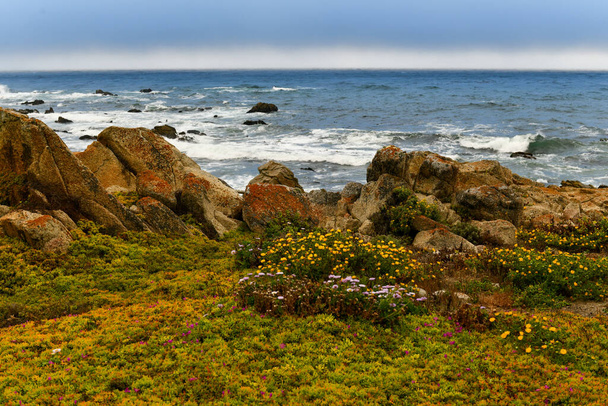 カリフォルニア州ペブルビーチの海岸にある17マイルドライブに沿ってスペイン湾の風景 - 写真・画像