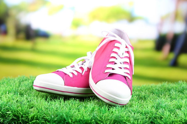 Beautiful gumshoes on green grass, on bright background - Foto, afbeelding