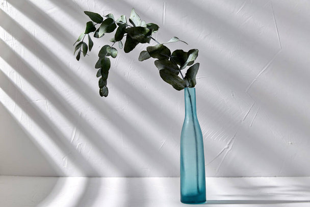 ユーカリの枝を白いテーブルの上のガラス花瓶に - 写真・画像