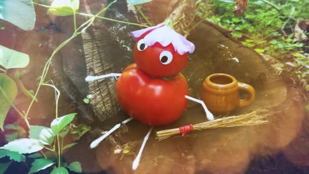 Забавная фигура из помидоров в саду. Пример декоративной работы с овощами. Осенний сбор. - Кадры, видео