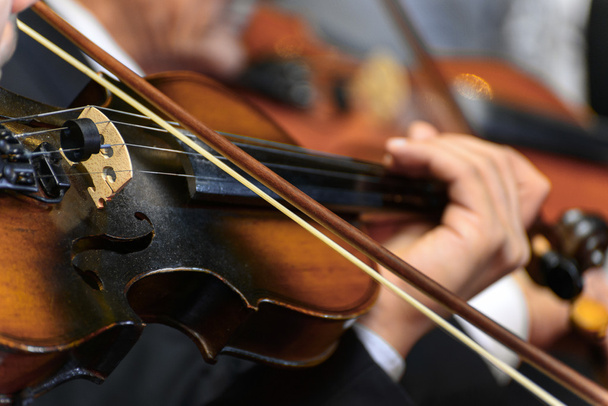 Симфонія скрипка
 - Фото, зображення
