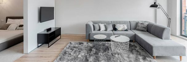 Panorama of stylish white and gray living room with television screen next to bedroom with big bed - Foto, Imagem