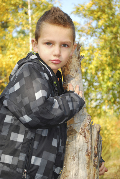 Serious boy in autumn forest. - Photo, Image
