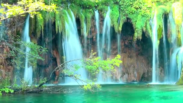 Wodospad w Parku Narodowym Jeziora Plitwickie, Chorwacja - Materiał filmowy, wideo