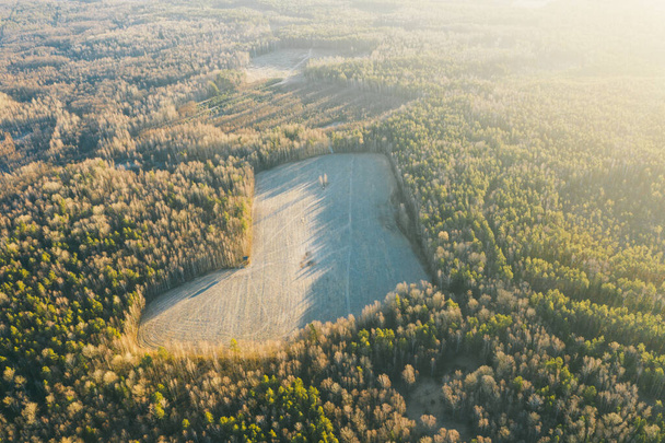Campo em forma de coração no outono a partir de drone - Foto, Imagem