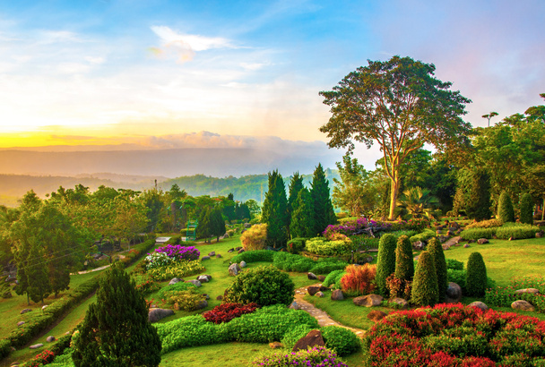 Hermoso jardín de flores de colores en la colina
 - Foto, Imagen