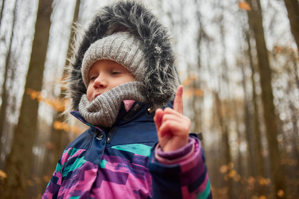 Φθινοπωρινό πορτρέτο του χαριτωμένου μικρού καυκάσιου κοριτσιού στο κρύο δάσος - Φωτογραφία, εικόνα