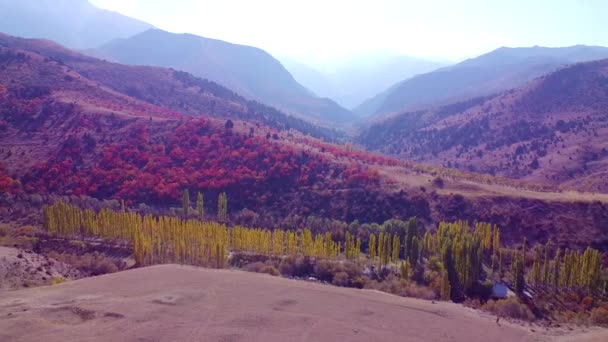 Heldere rode bomen in de herfst op een berghelling. vliegen over fantastische tuinen - Video