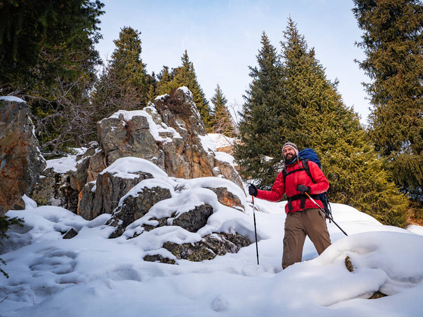 冬の山の森の中を歩く赤いジャケットで満足した髭観光客。晴れた日の美しい冬のパスタイム - 写真・画像