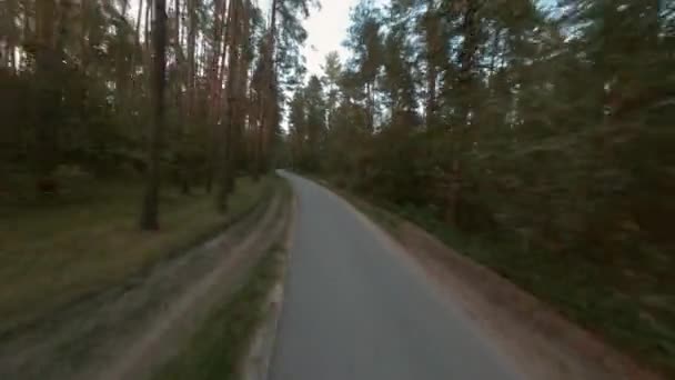 Fpv drone flying backwards over narrow asphalt road through forest. Aerial shooting car road in countryside among summer pine grove. - Footage, Video
