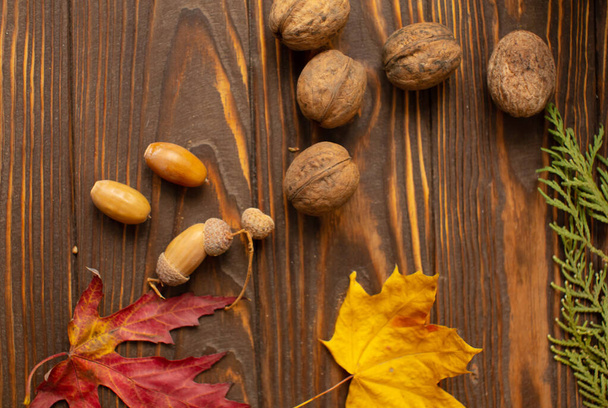 walnuts with acorns on wooden background - Фото, зображення