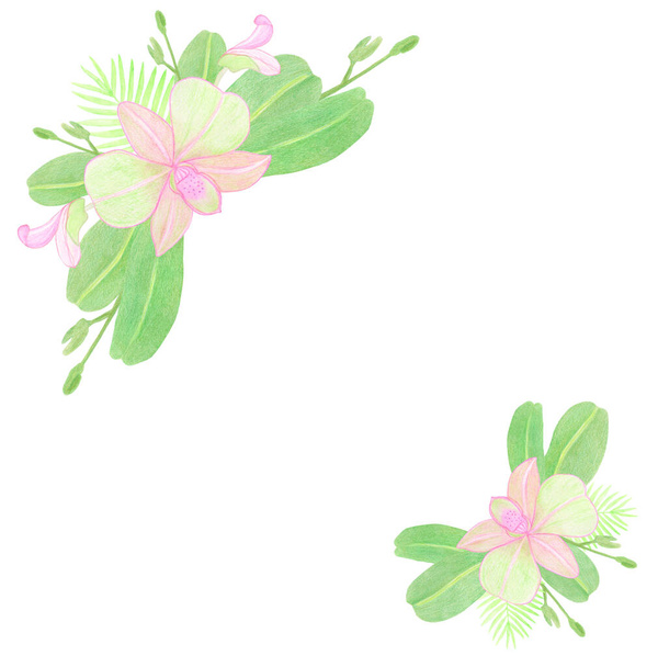 Corner frame template with watercolor pink orchid flowers and leaves on white background - Photo, image