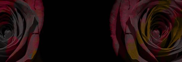 Silhouette einer nackten Frau auf abstraktem Hintergrund mit roter Rose. Lesben machen Liebe. Valentinskarte. Erotische Position. Illustration der Selbstliebe. - Foto, Bild