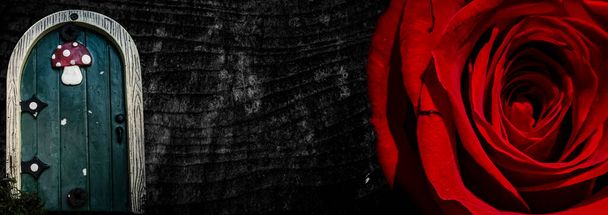 Silueta nahé ženy na abstraktním pozadí s rudou růží. Lesba milující se. Valentýnské přání. Erotická poloha. Ilustrace sebelásky. - Fotografie, Obrázek