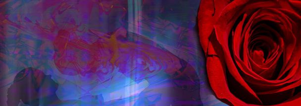 Silueta de una mujer desnuda sobre un fondo abstracto con rosa roja. Lesbianas haciendo el amor. Tarjeta de San Valentín. Posición erótica. Ilustración del amor propio. - Foto, imagen