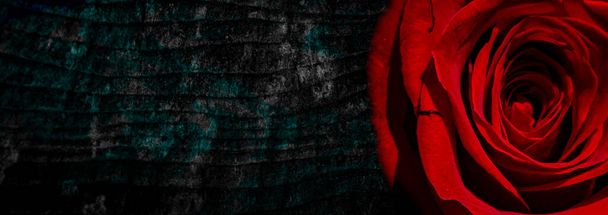 Silhueta de uma mulher nua em um fundo abstrato com rosa vermelha. Lésbicas a fazer amor. Cartão Valentine. Posição erótica. Ilustração do amor próprio. - Foto, Imagem