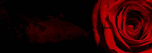 Silhouette einer nackten Frau auf abstraktem Hintergrund mit roter Rose. Lesben machen Liebe. Valentinskarte. Erotische Position. Illustration der Selbstliebe. - Foto, Bild