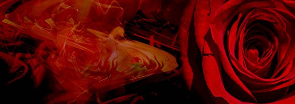 Silhouet van een naakte vrouw op een abstracte achtergrond met rode roos. Lesbisch vrijen. Valentijnskaart. Erotische positie. Zelfliefde illustratie. - Foto, afbeelding
